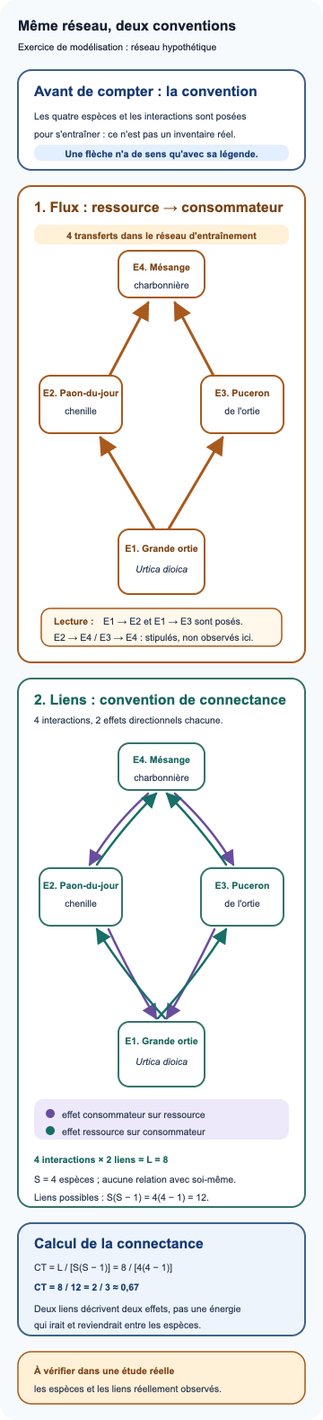 Deux schémas d'un même réseau hypothétique de quatre espèces : grande ortie, chenille du paon-du-jour, puceron de l'ortie et mésange charbonnière. Le premier indique quatre transferts de ressource ou proie vers consommateur. Le second compte deux liens d'effet par interaction, soit huit liens sur douze possibles, et calcule une connectance de deux tiers environ.