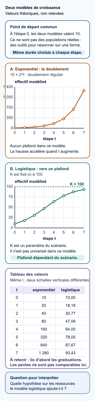 Deux graphiques de valeurs théoriques : un modèle exponentiel passant de 10 à 1 280 en sept étapes, et un modèle logistique passant de 10 à 93,43 en se rapprochant d'un plafond fixé à 100. Un tableau donne les huit valeurs de chaque modèle.