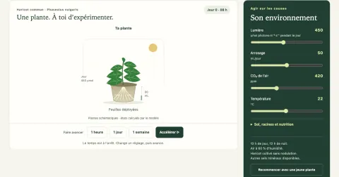 Aperçu de PhytoLab : le haricot simulé et ses réglages de lumière, d’eau, de CO₂ et de température