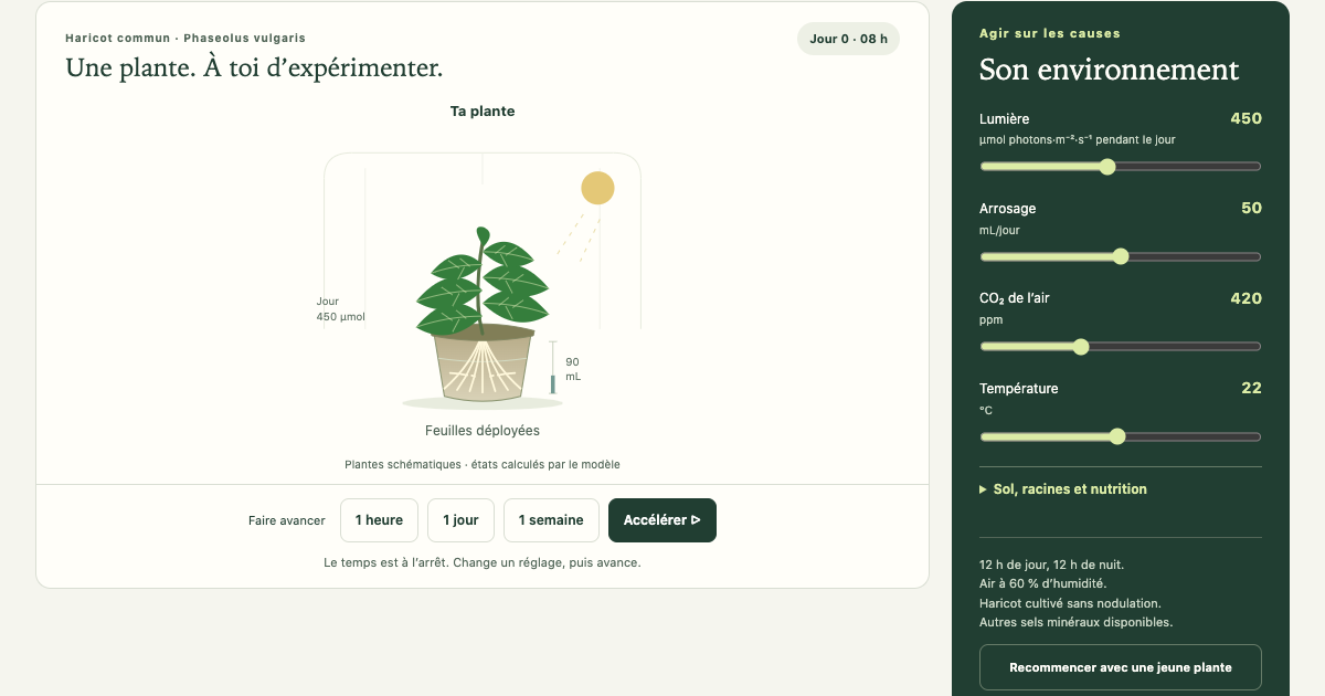 PhytoLab : un haricot simulé, ses conditions de culture et les commandes du temps ; le panneau donne aussi accès au sol et à la nutrition